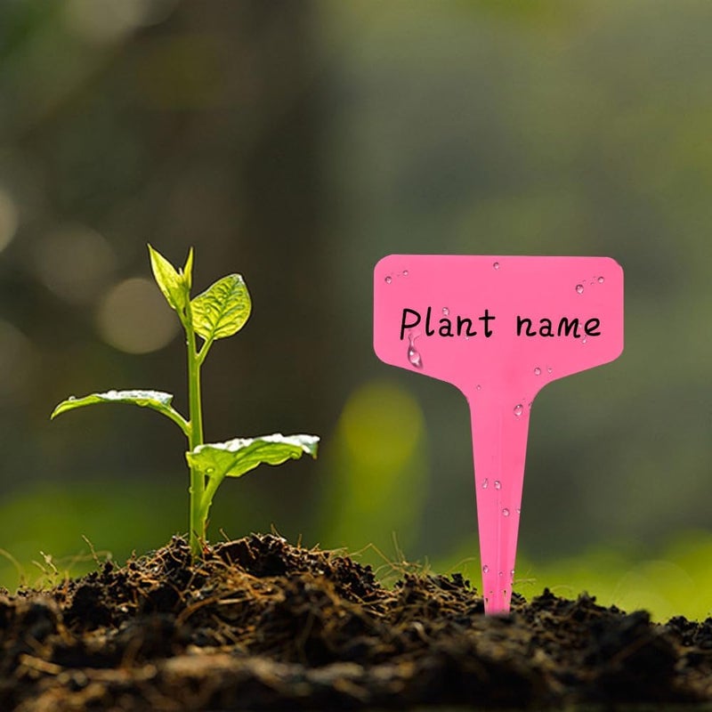 Bluckincle 200pcs Plant Labels,Plant Name Tags,Pink Plant Markers,Gardening Supplies,Garden Labels Outdoor Waterproof,Garden Markers,Plastic Plant Labels for Seedlings,Greenhouse Accessories,Plant Nursery - Image 3